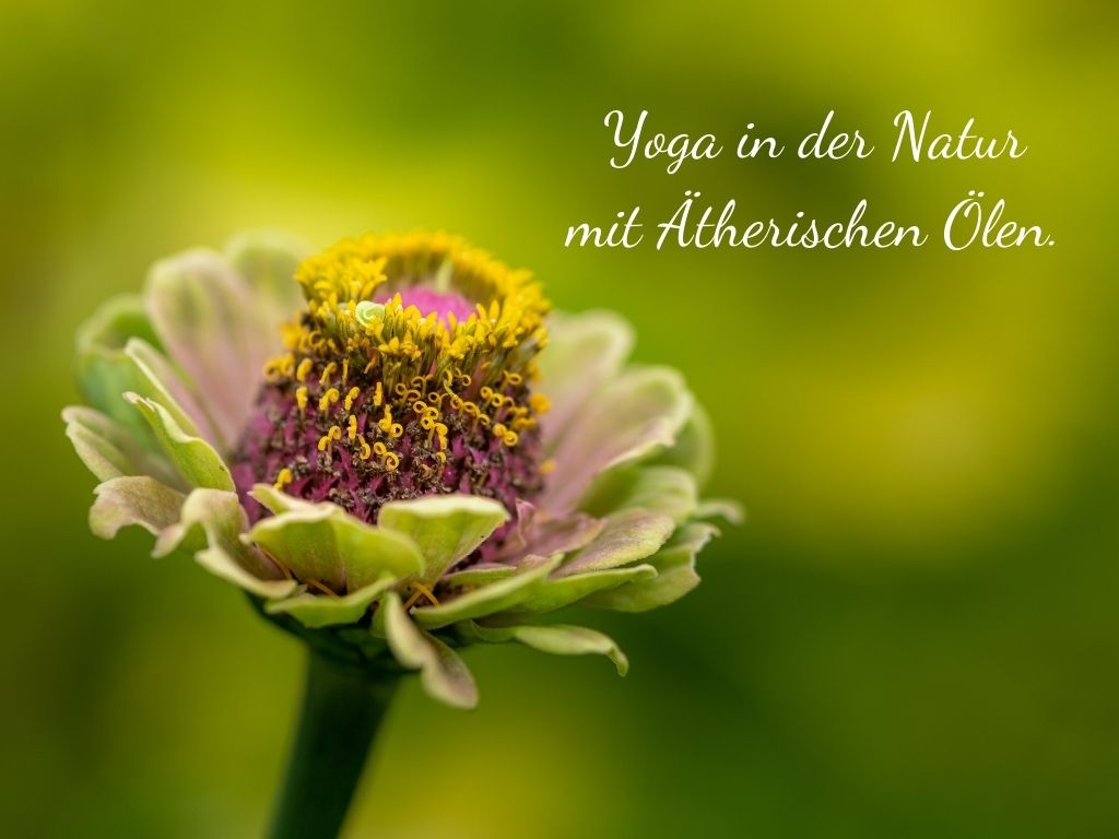 Yoga & Ätherische Öle